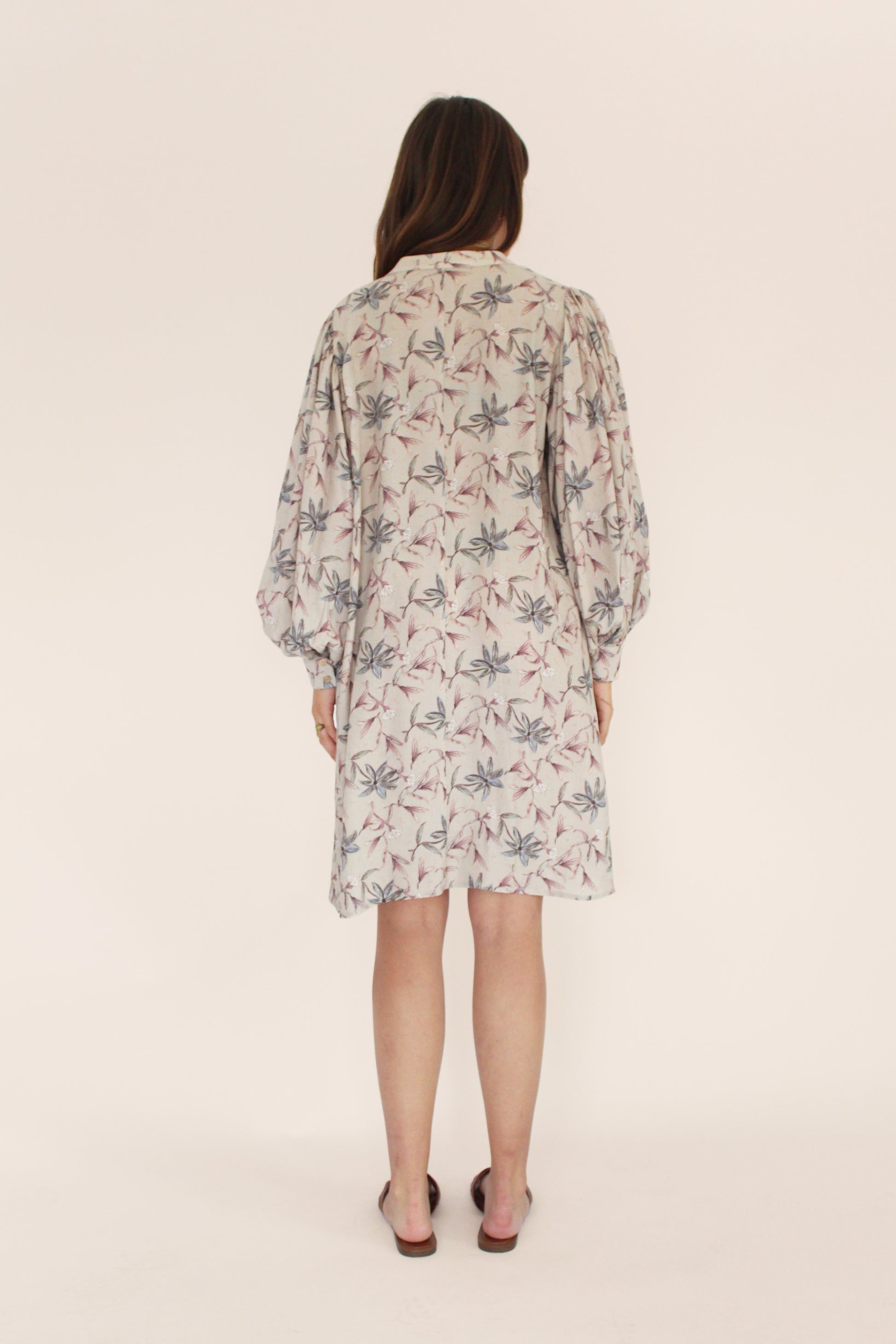 Abby-Kleid